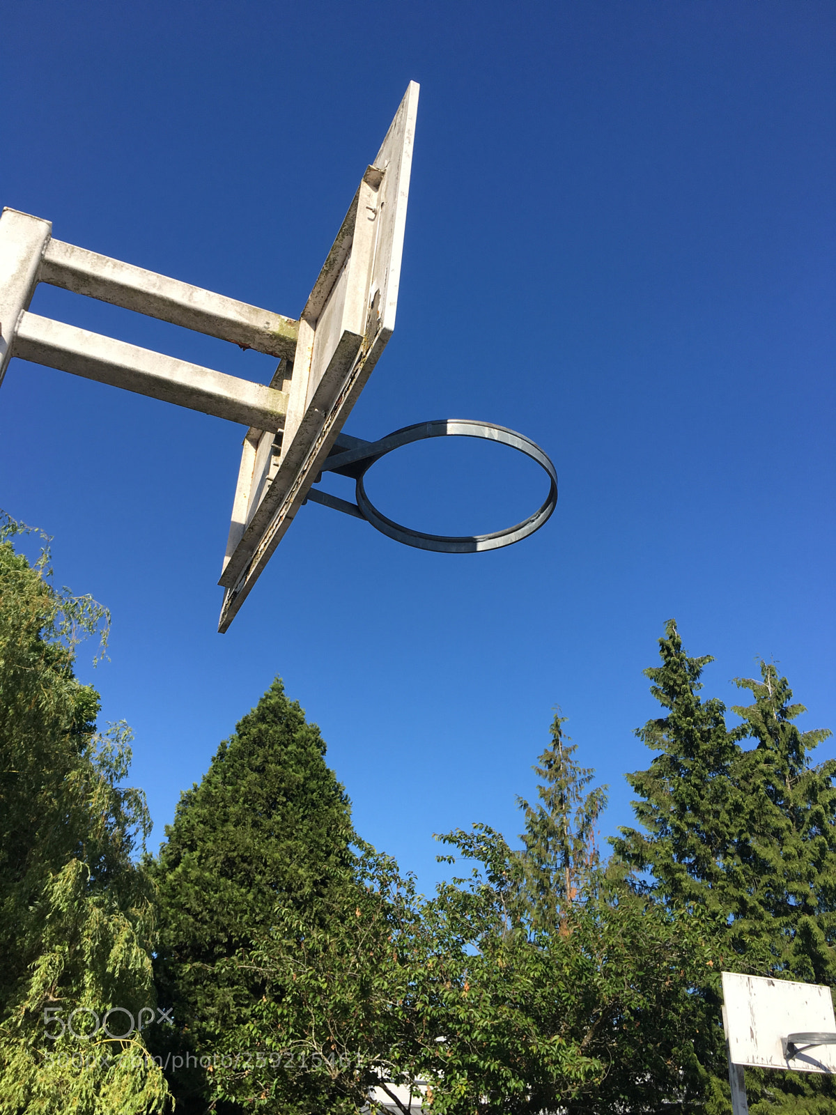 Apple iPhone 6s Plus sample photo. Basketball net outdoors photography