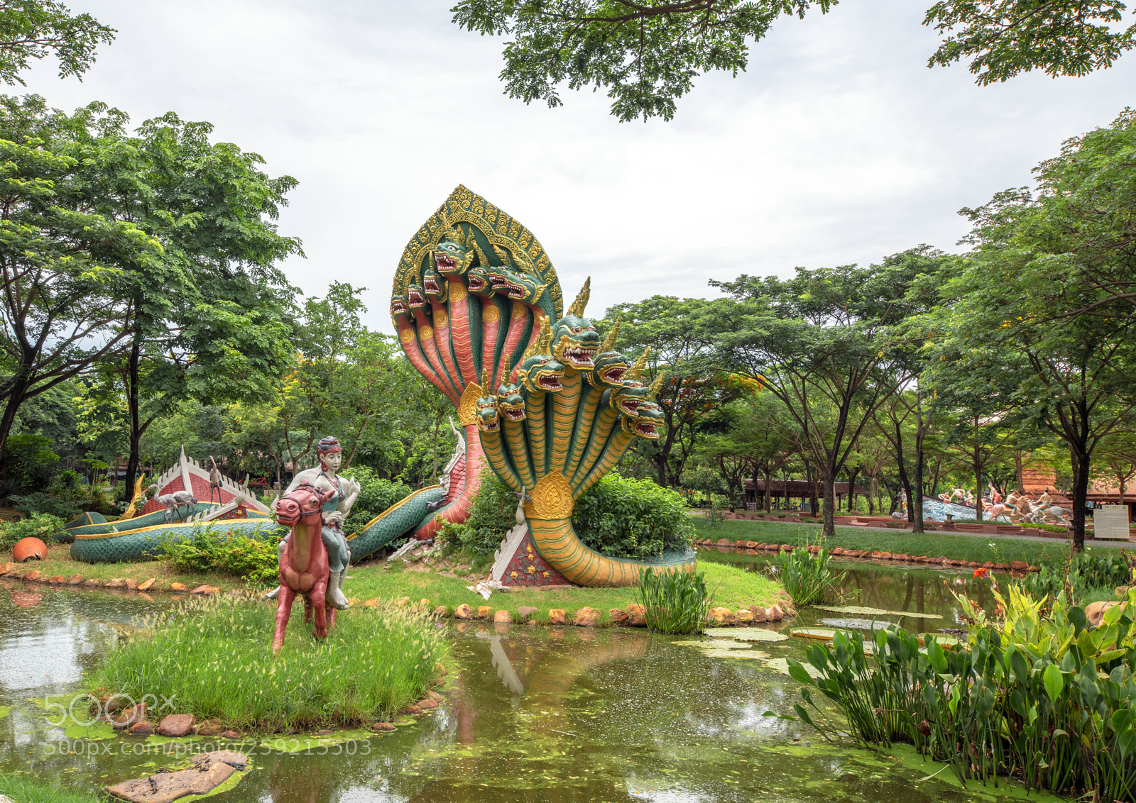 Nikon D850 sample photo. Deux dragons aux sept photography