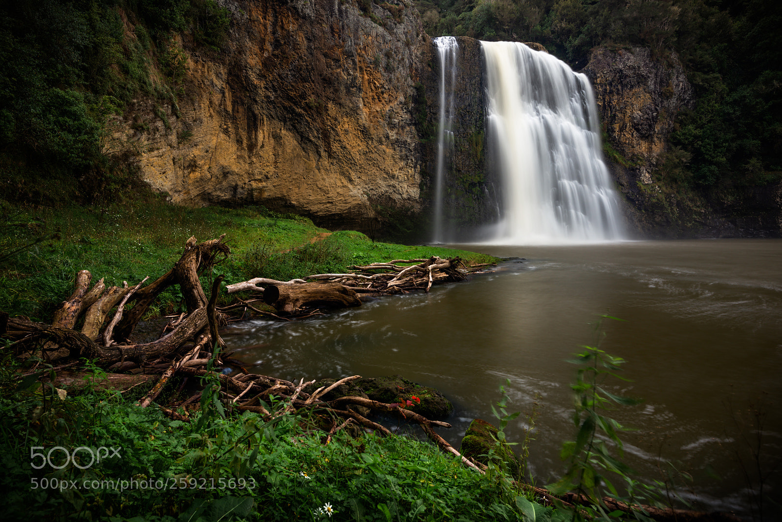 Nikon D610 sample photo. Hunua falls photography