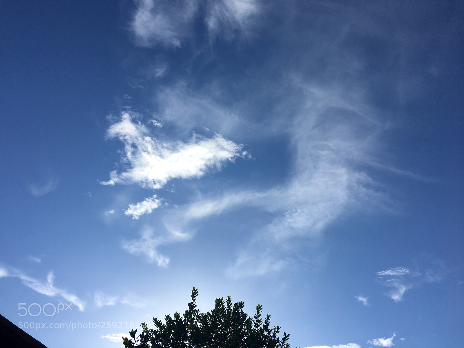 Apple iPhone 6s sample photo. Untitled photography
