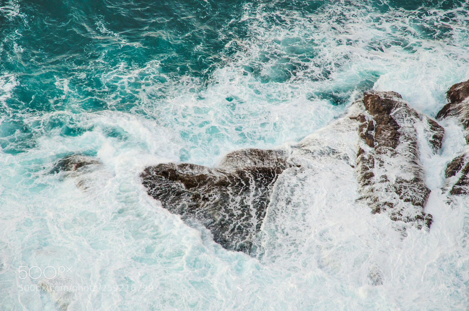 Nikon D5000 sample photo. Sea heart! photography