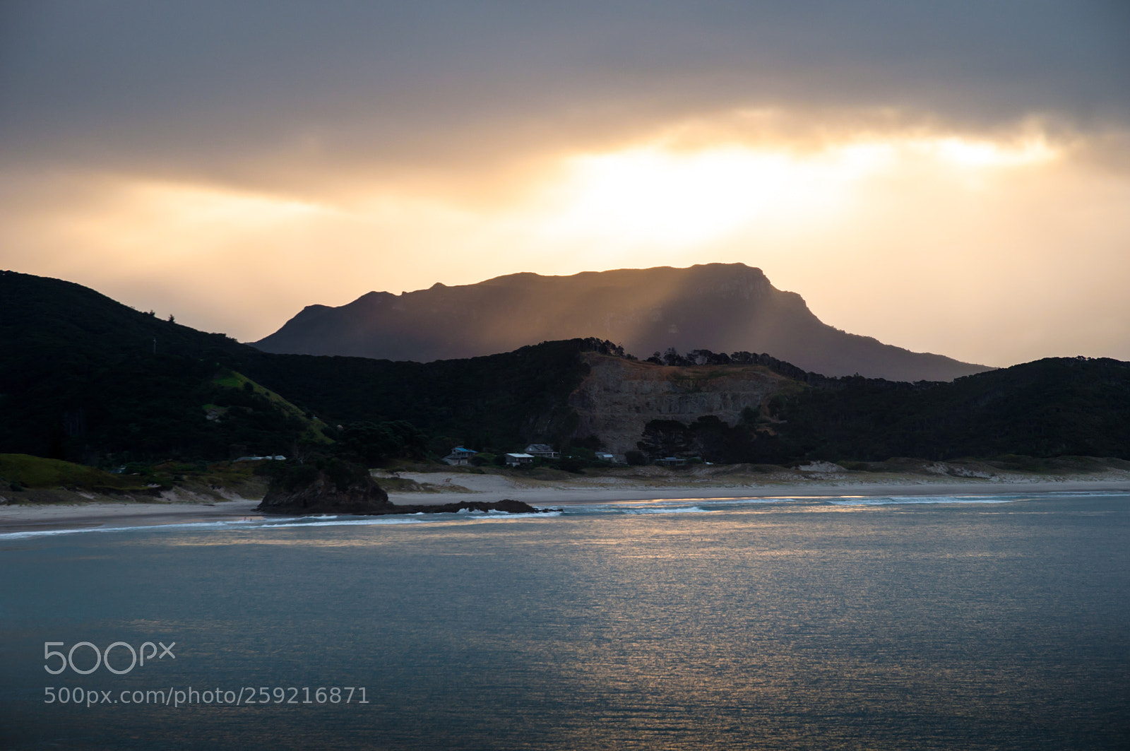 Nikon D5000 sample photo. Medlands rays photography