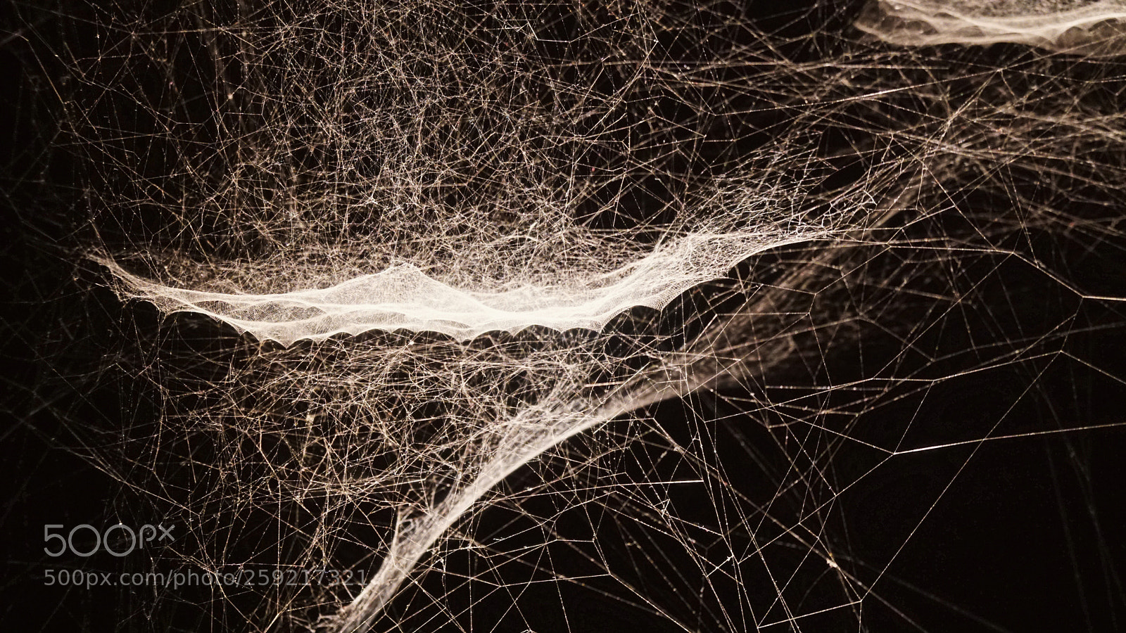 Sony a6300 sample photo. Spider web fabric photography