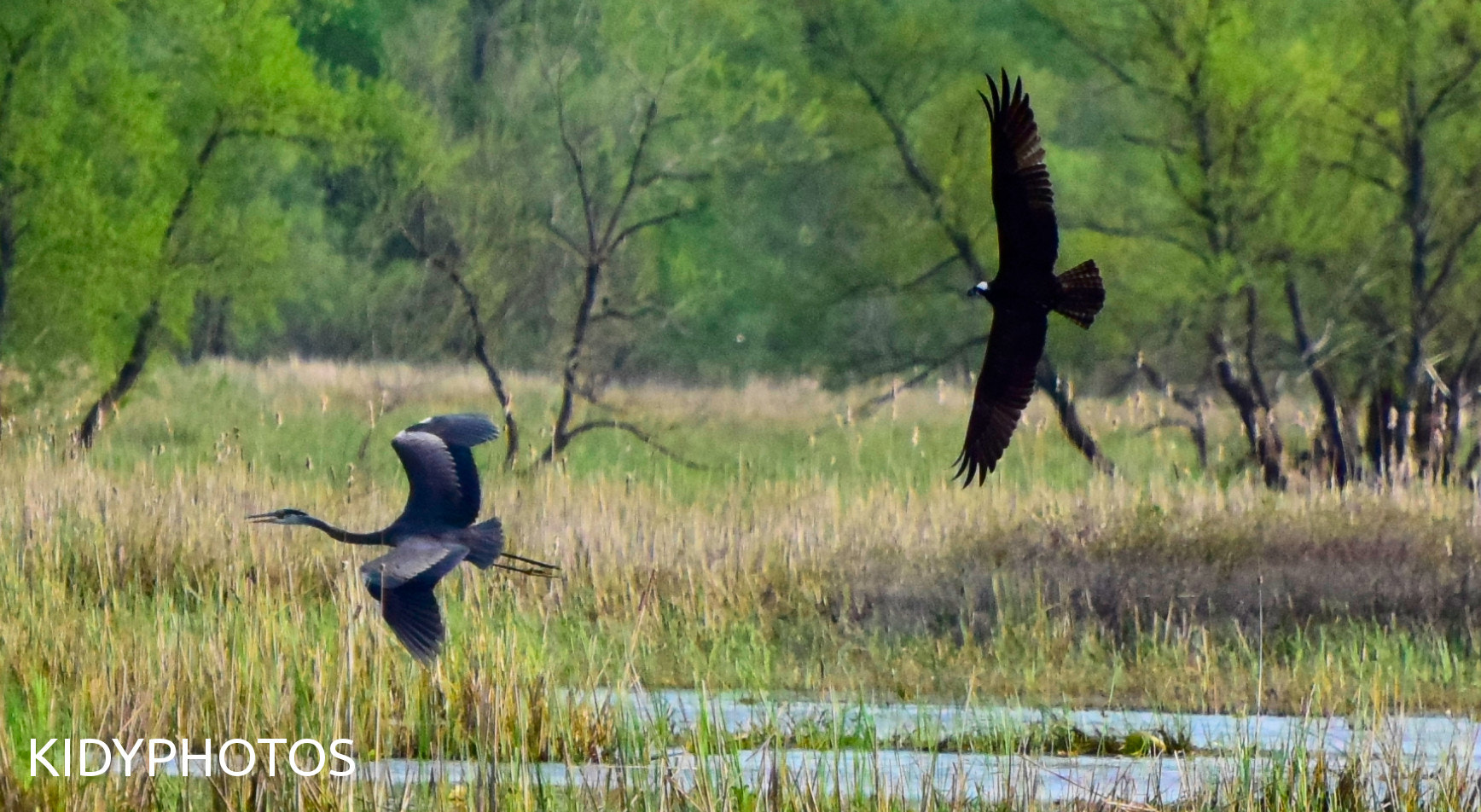 Nikon D5300 sample photo. Attack photography
