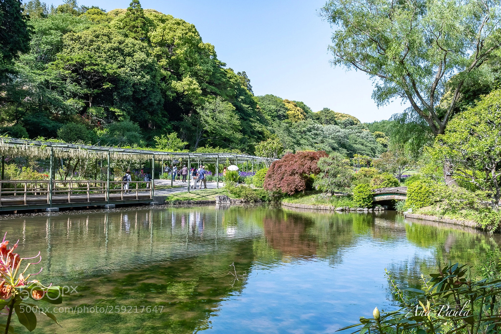 Nikon D500 sample photo. Landscape  photography