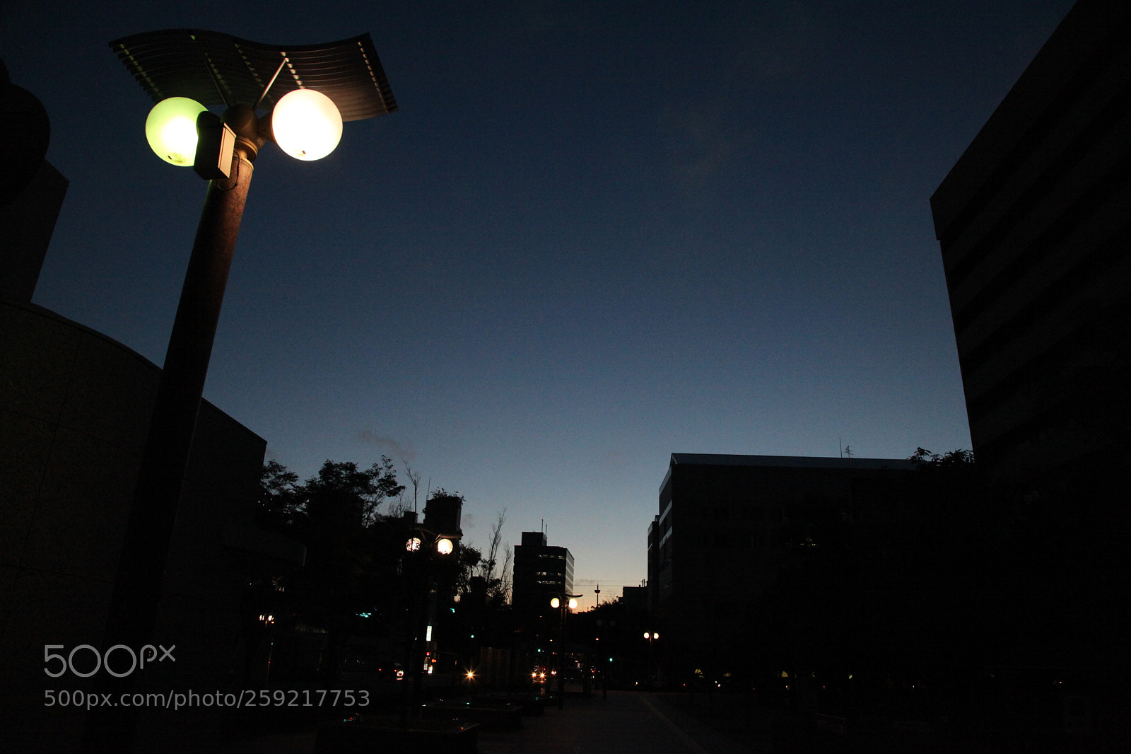 Canon EF 24-105mm F4L IS USM sample photo. I shudder at twilight photography