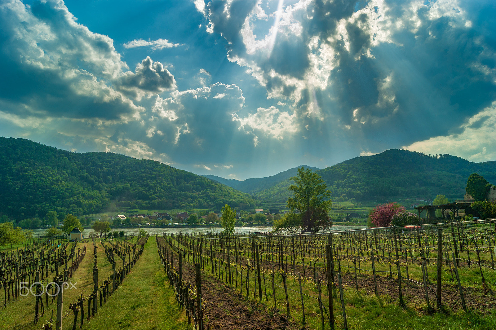 Sony Alpha DSLR-A290 sample photo. Wachau, lower austria photography