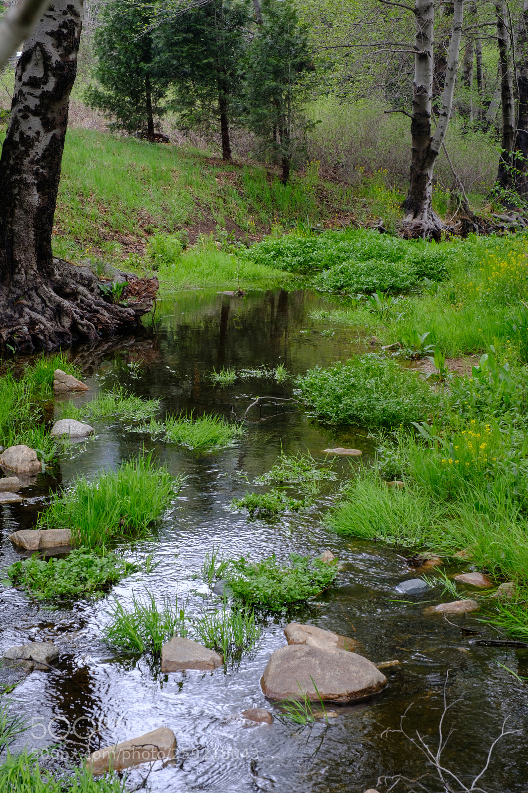 Fujifilm X-T2 sample photo. Seely creek 6936 photography
