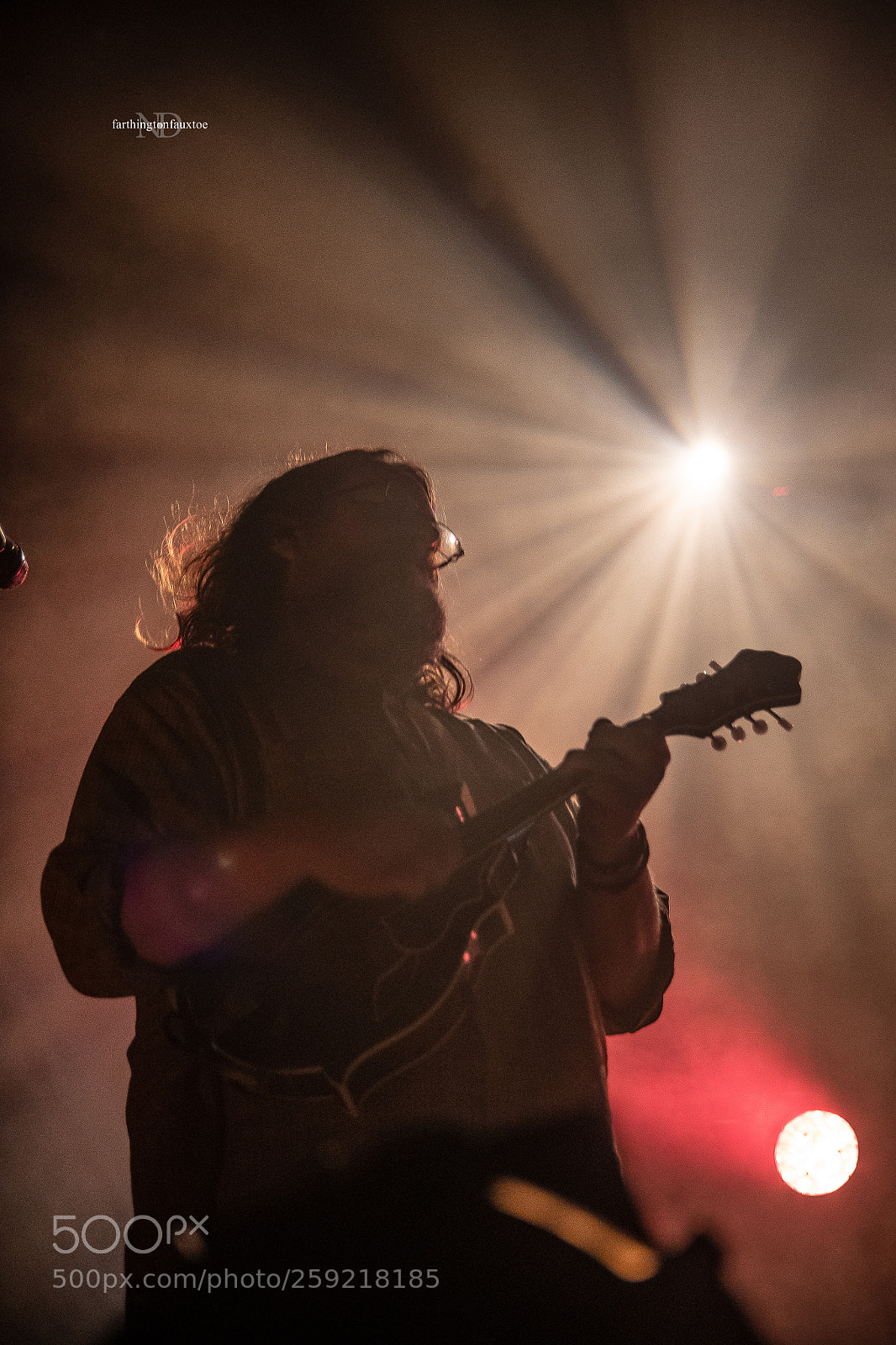 Nikon D7500 sample photo. Mandolin heaven photography