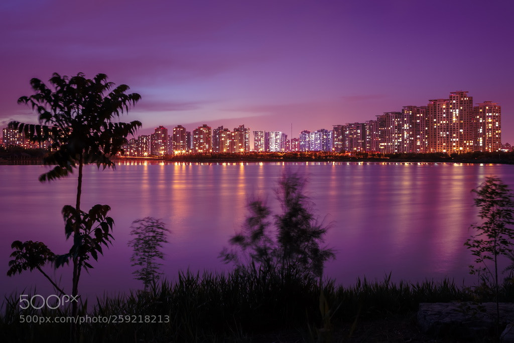 Canon EOS 6D Mark II sample photo. Purple night photography