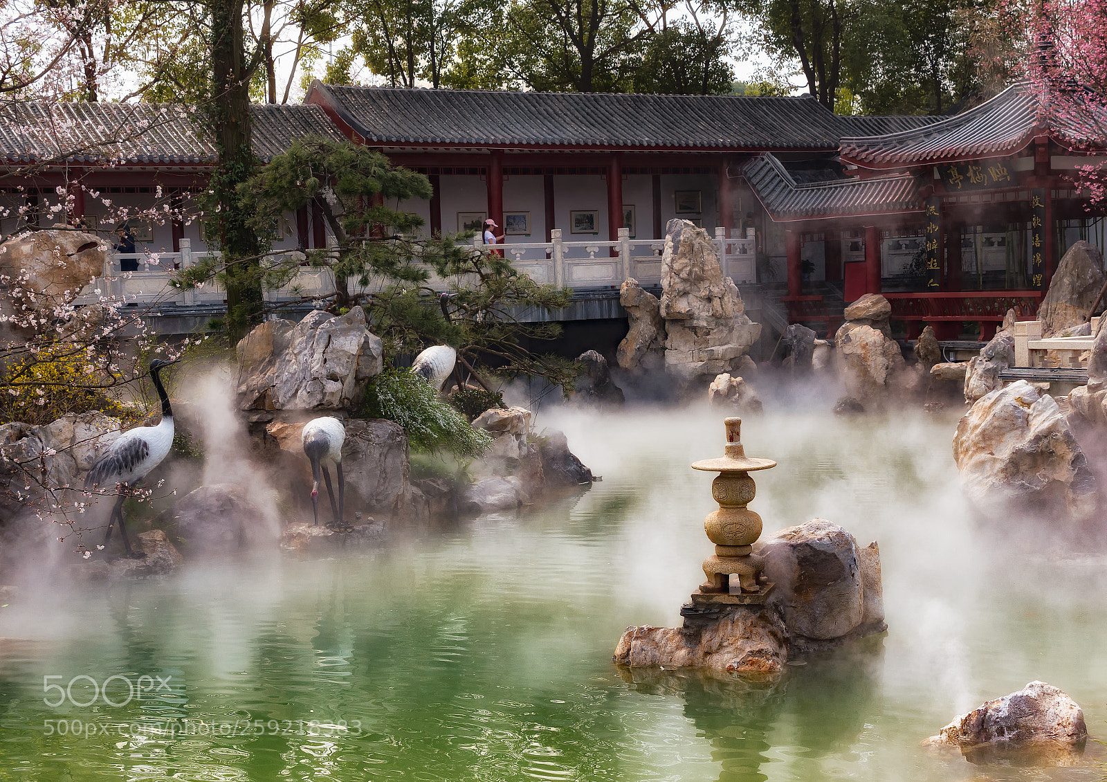 Panasonic Lumix DC-G9 sample photo. Classic scene from donghu photography