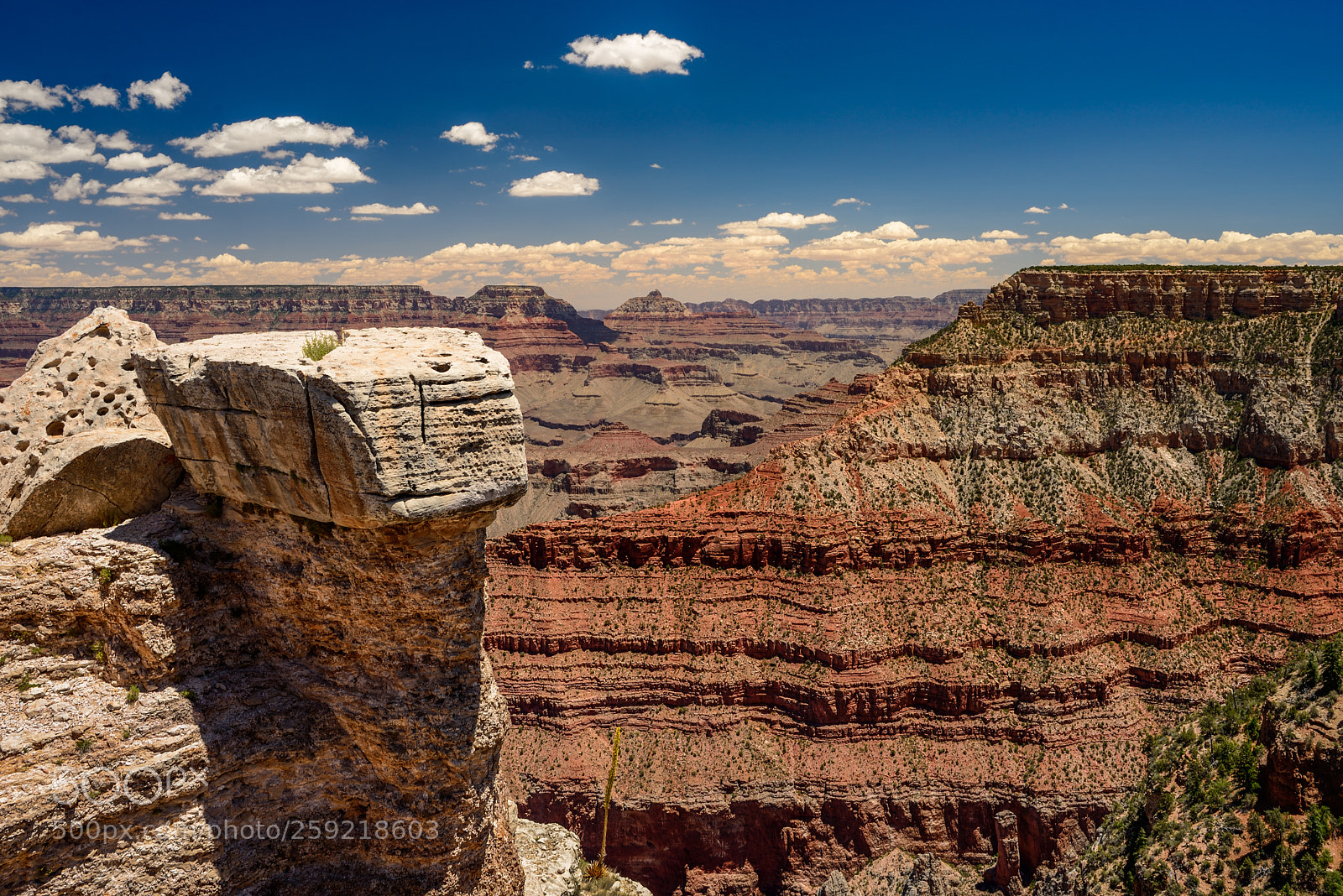 Nikon D610 sample photo. Grand canyon photography