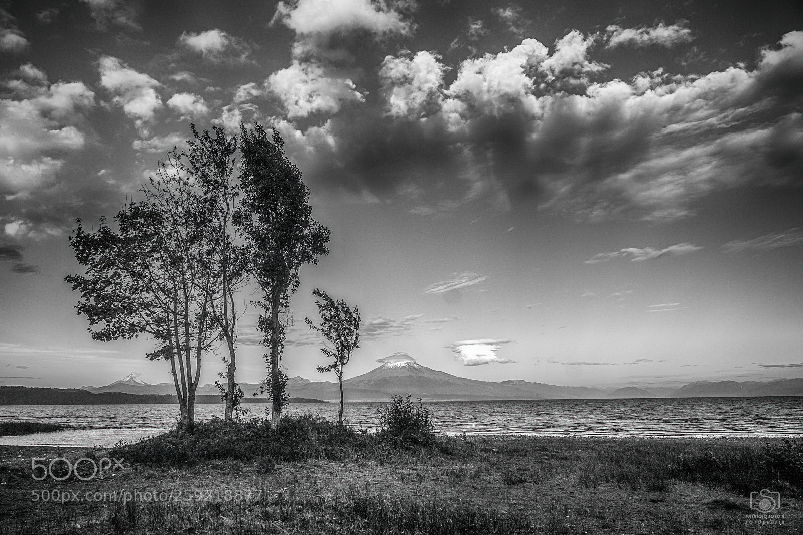 Sony ILCA-77M2 sample photo. Bn photography