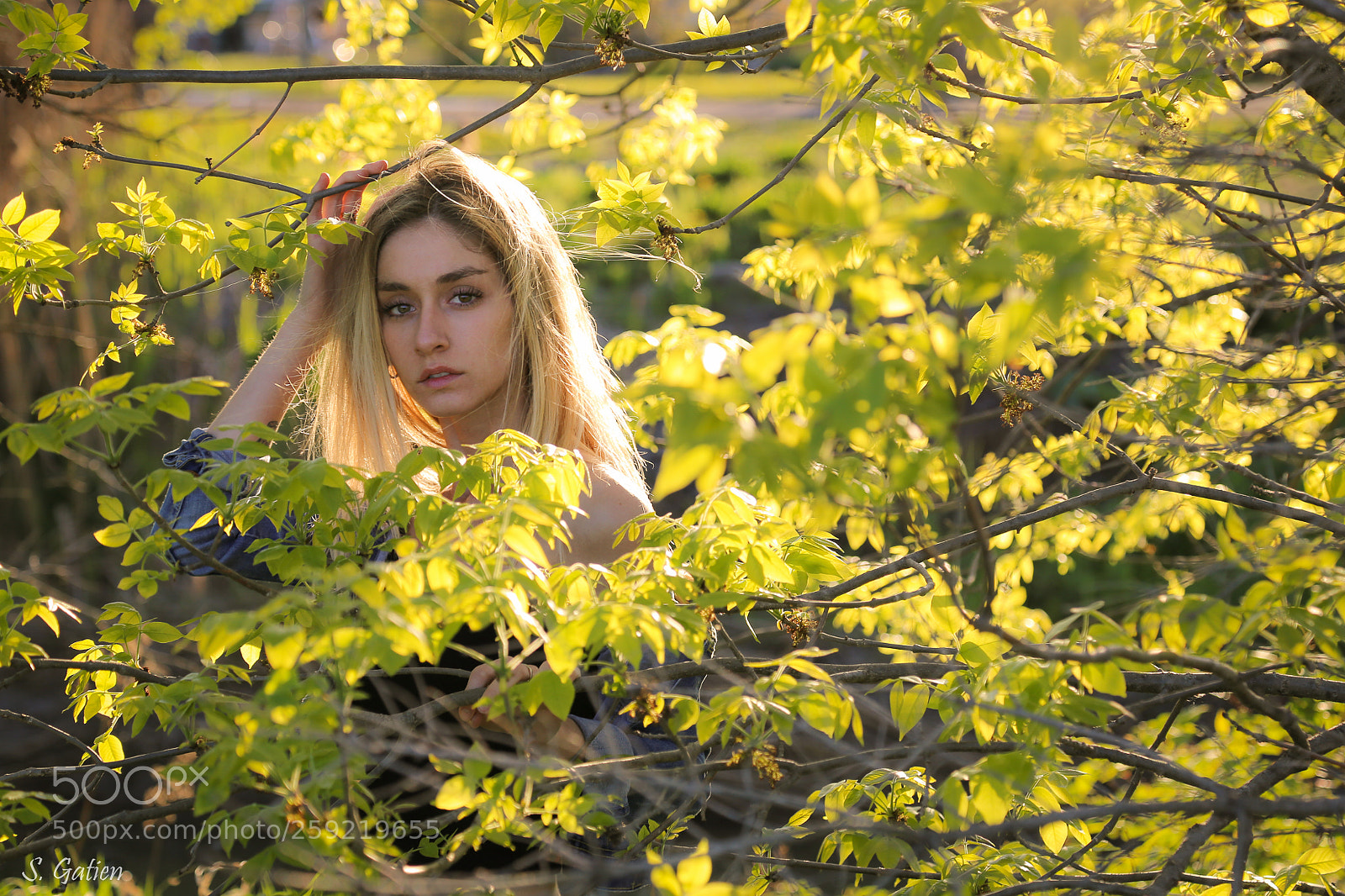 Canon EOS 6D sample photo. Img photography