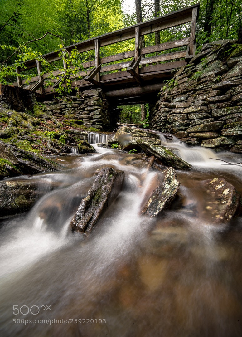 Nikon D750 sample photo. Time to relax.  photography
