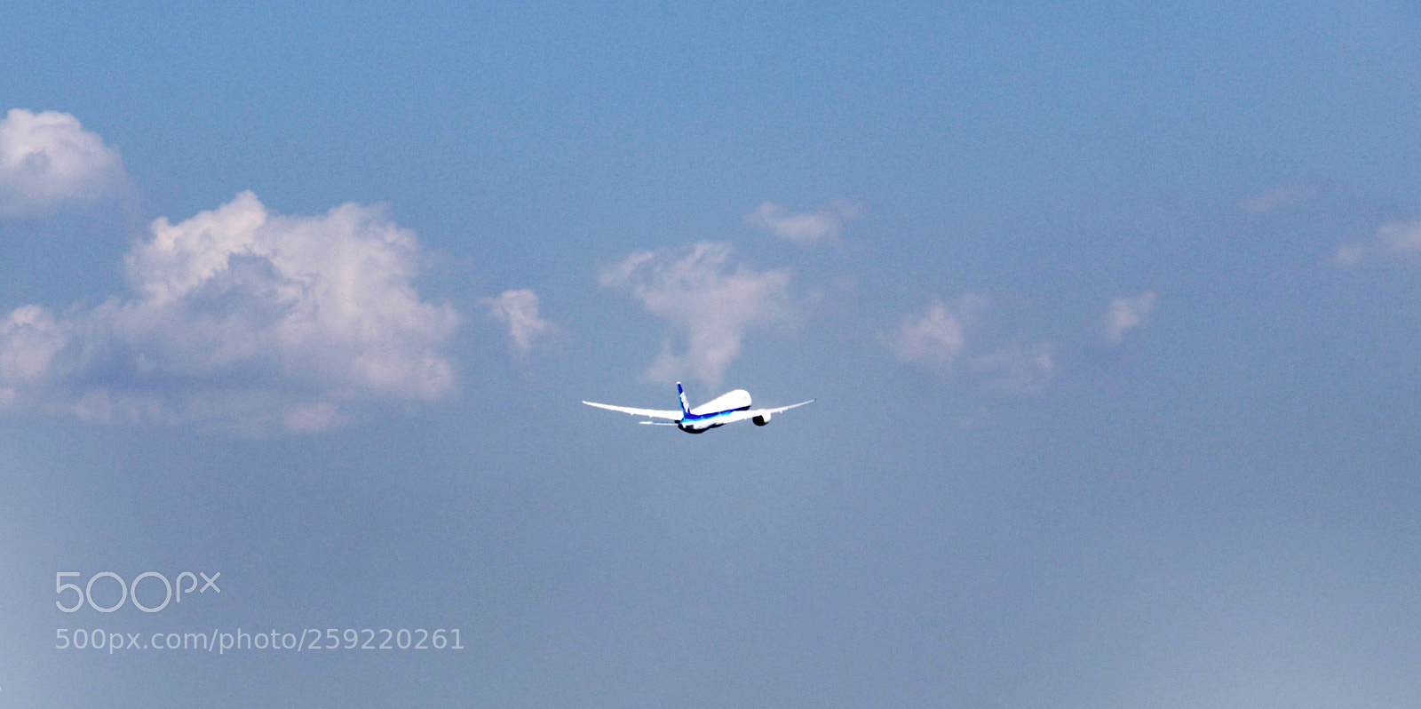 Canon EOS 80D sample photo. Fly away photography