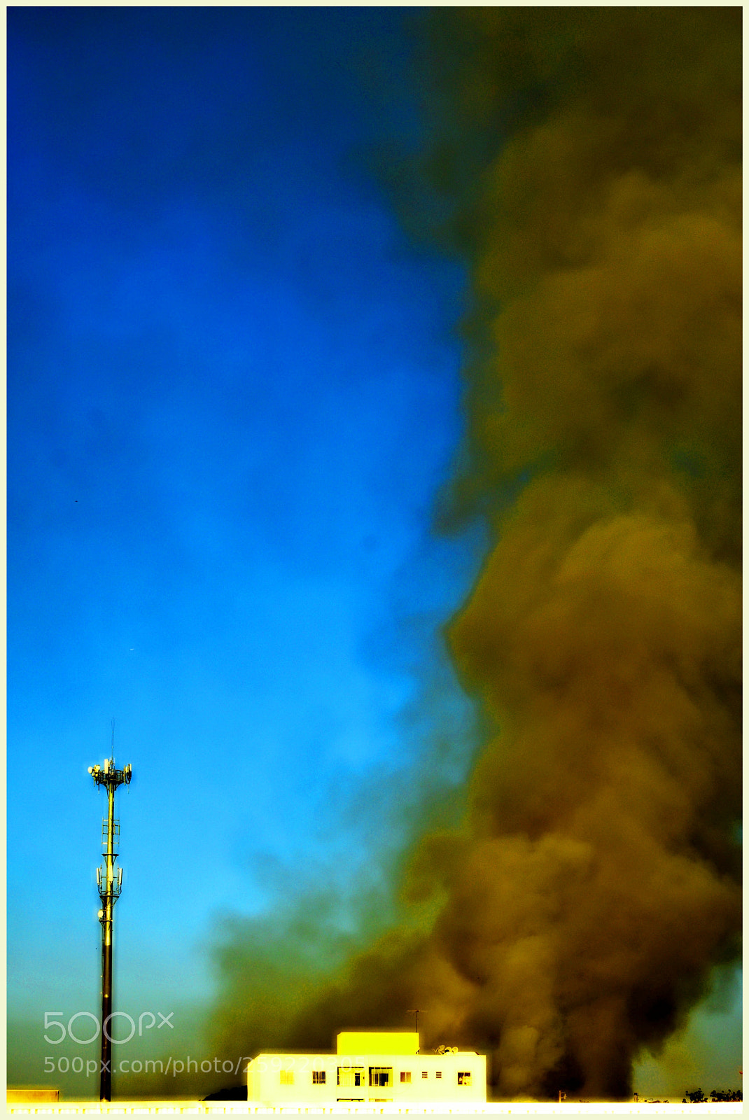 Nikon D5300 sample photo. ... e té manhã " photography