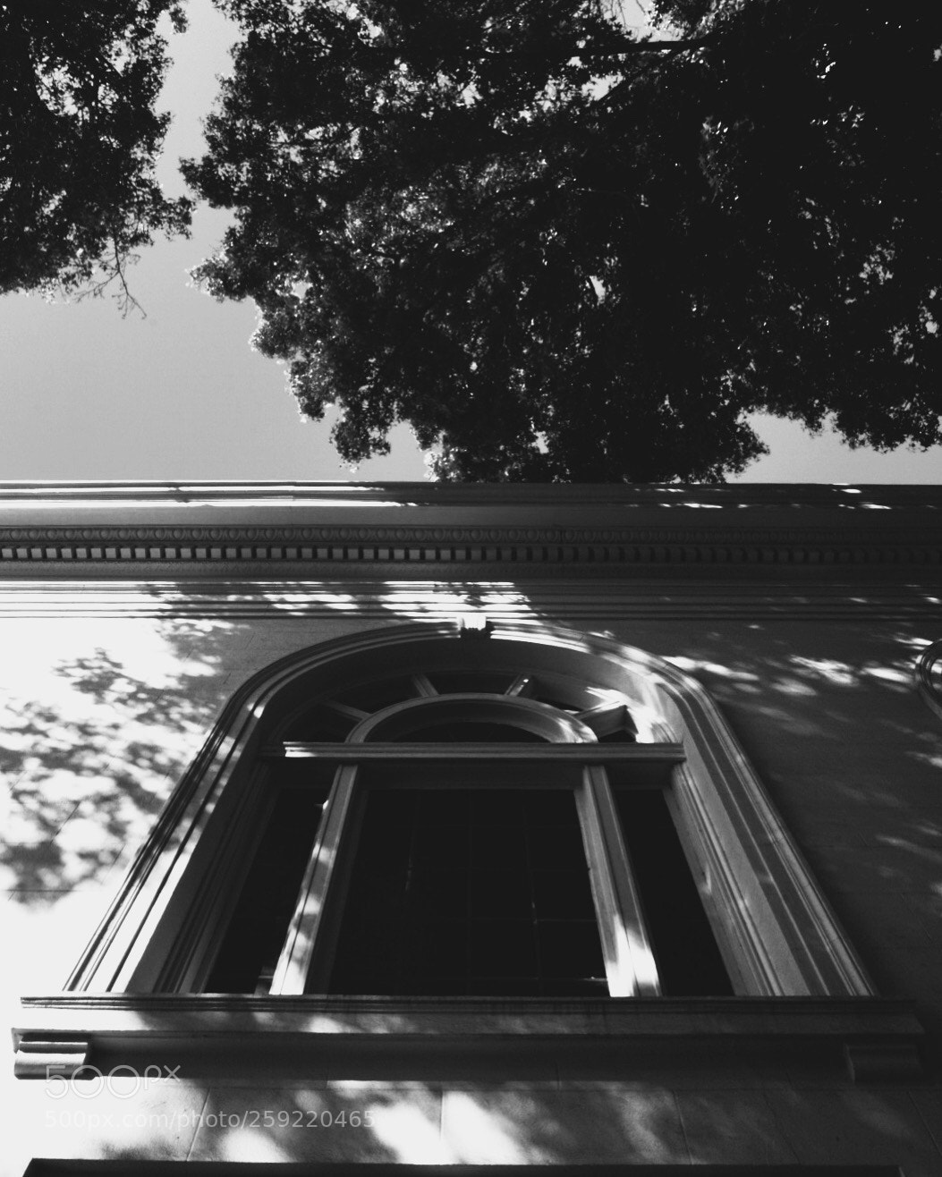 Sony a5100 sample photo. Untitled photography