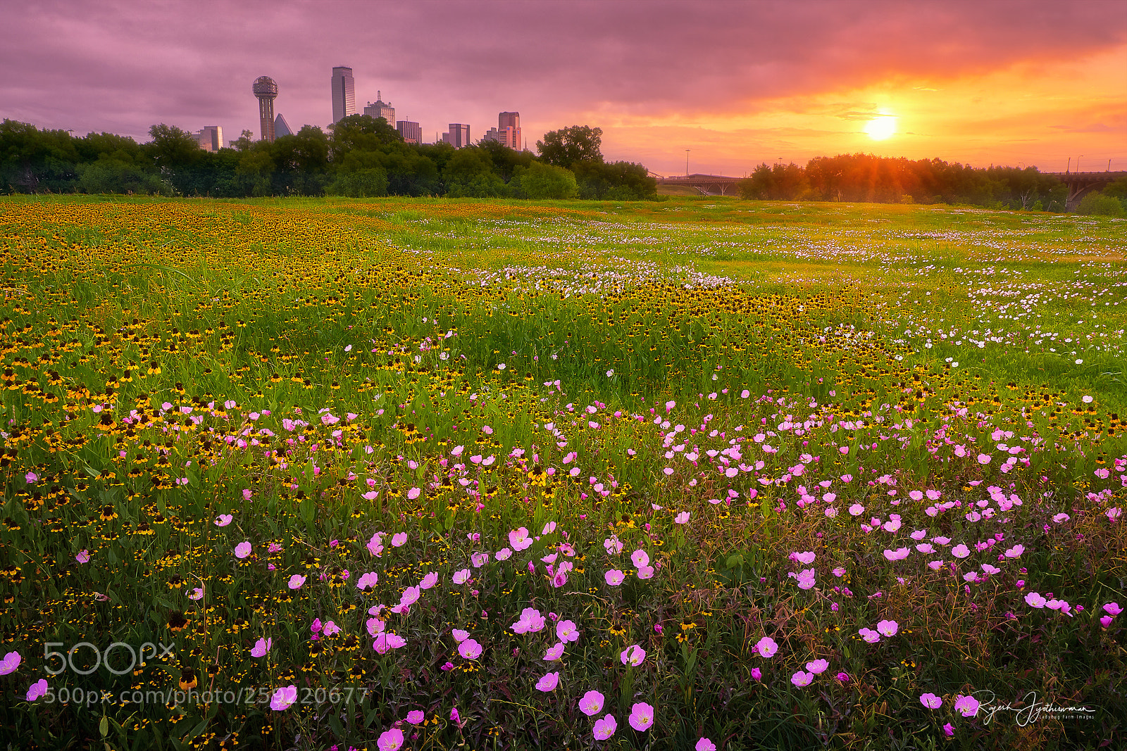 Sony a7R II sample photo. Wild trinity photography