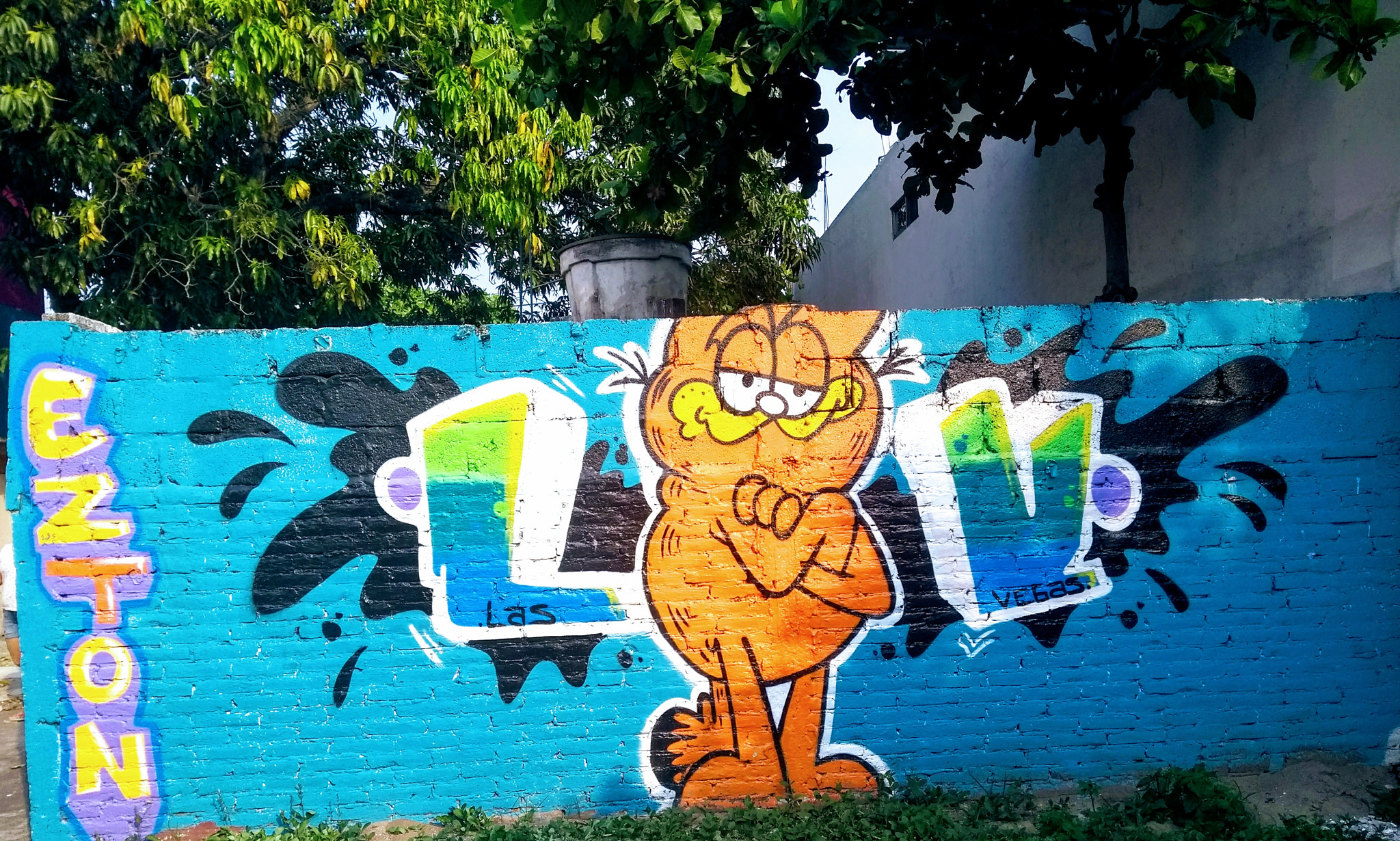 Motorola Moto G (5th Gen) sample photo