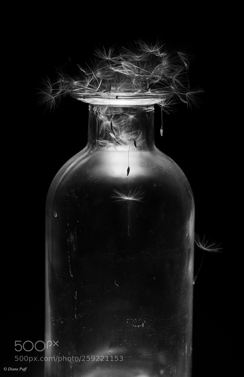 Canon EOS 6D sample photo. Bottle of wishes photography