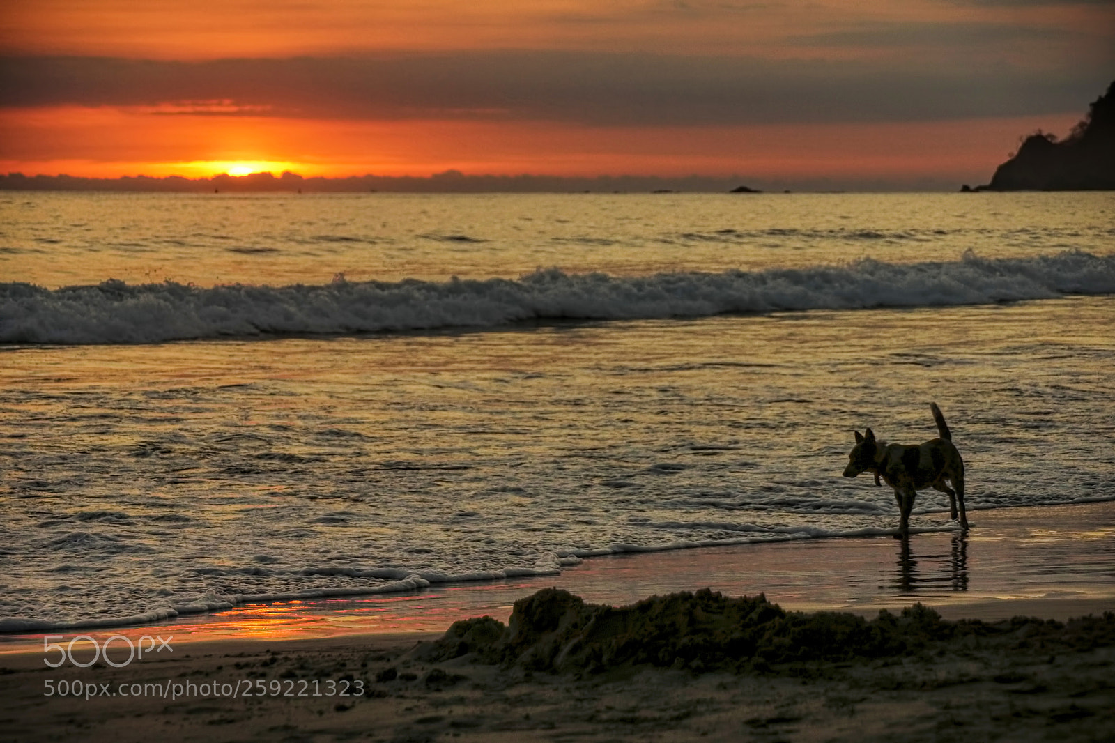 Sony SLT-A77 sample photo. Sunset, pacific coast of photography