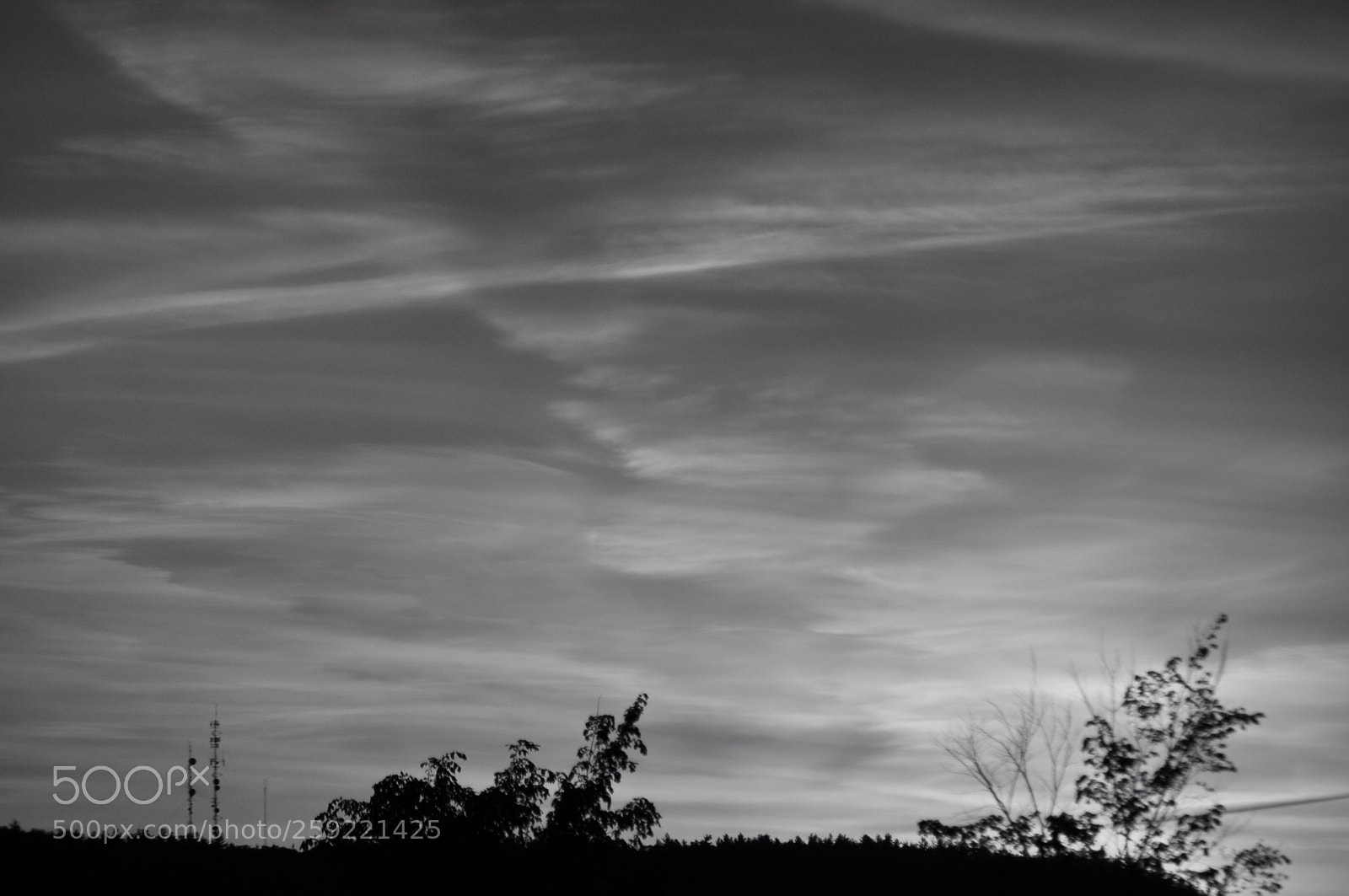 Nikon D5000 sample photo. Sunset in black and photography
