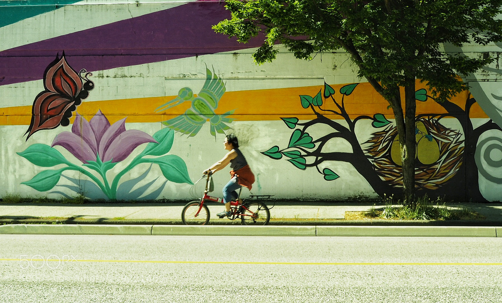 Olympus OM-D E-M5 II sample photo. Riding in paradise photography
