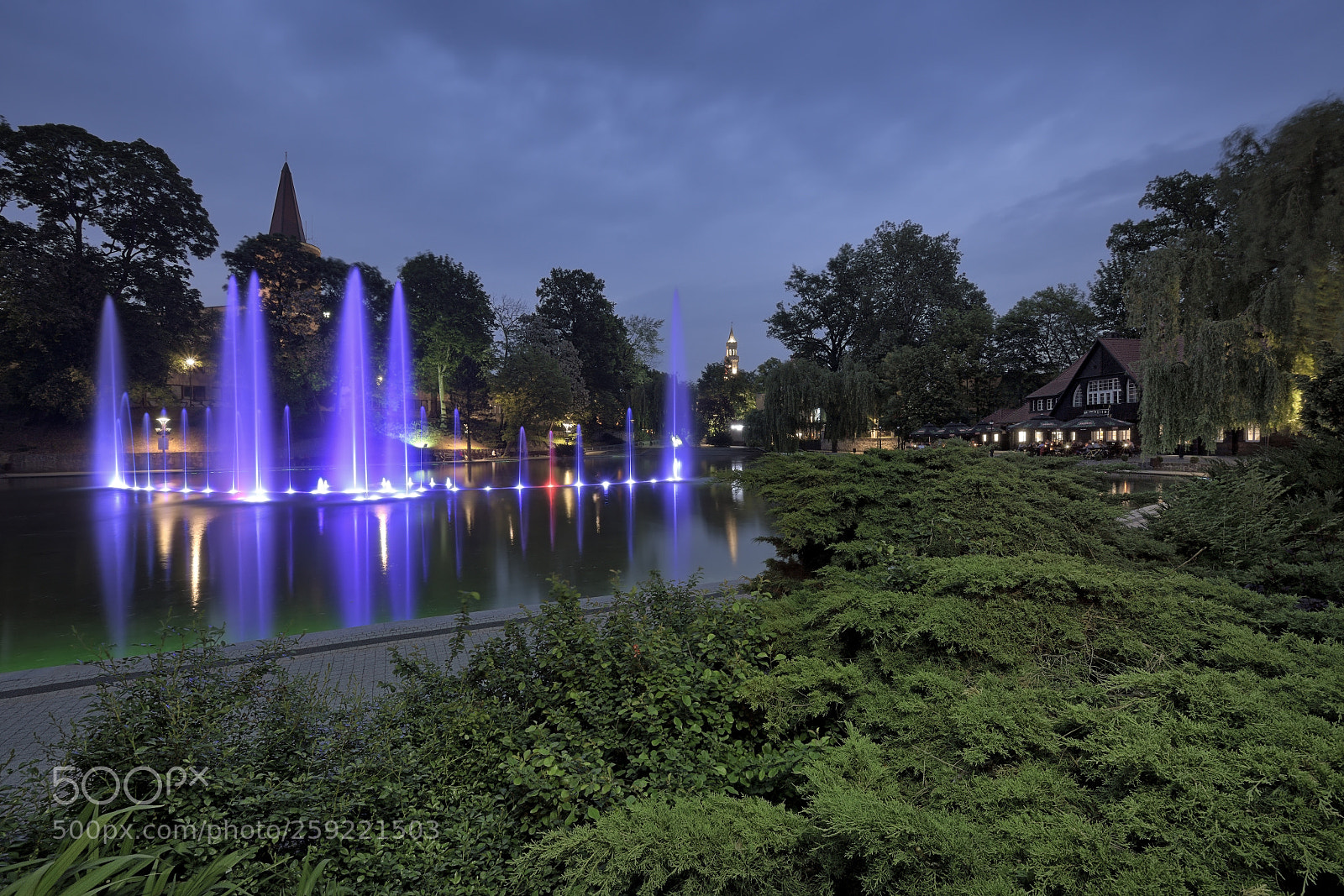 Nikon D7200 sample photo. Staw barlickiego photography