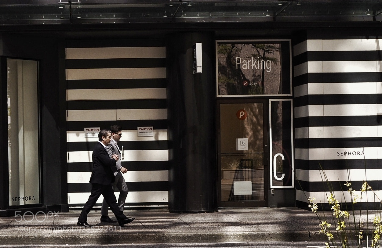 Olympus OM-D E-M5 II sample photo. Zebras photography