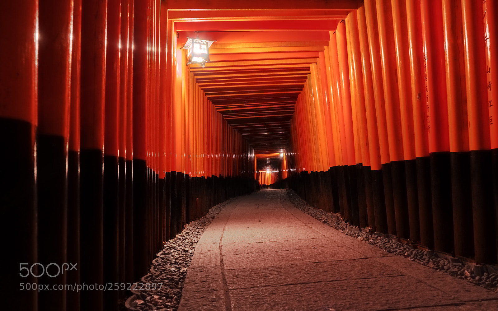 Sony a7R II sample photo. Fushimi inari-taisha photography