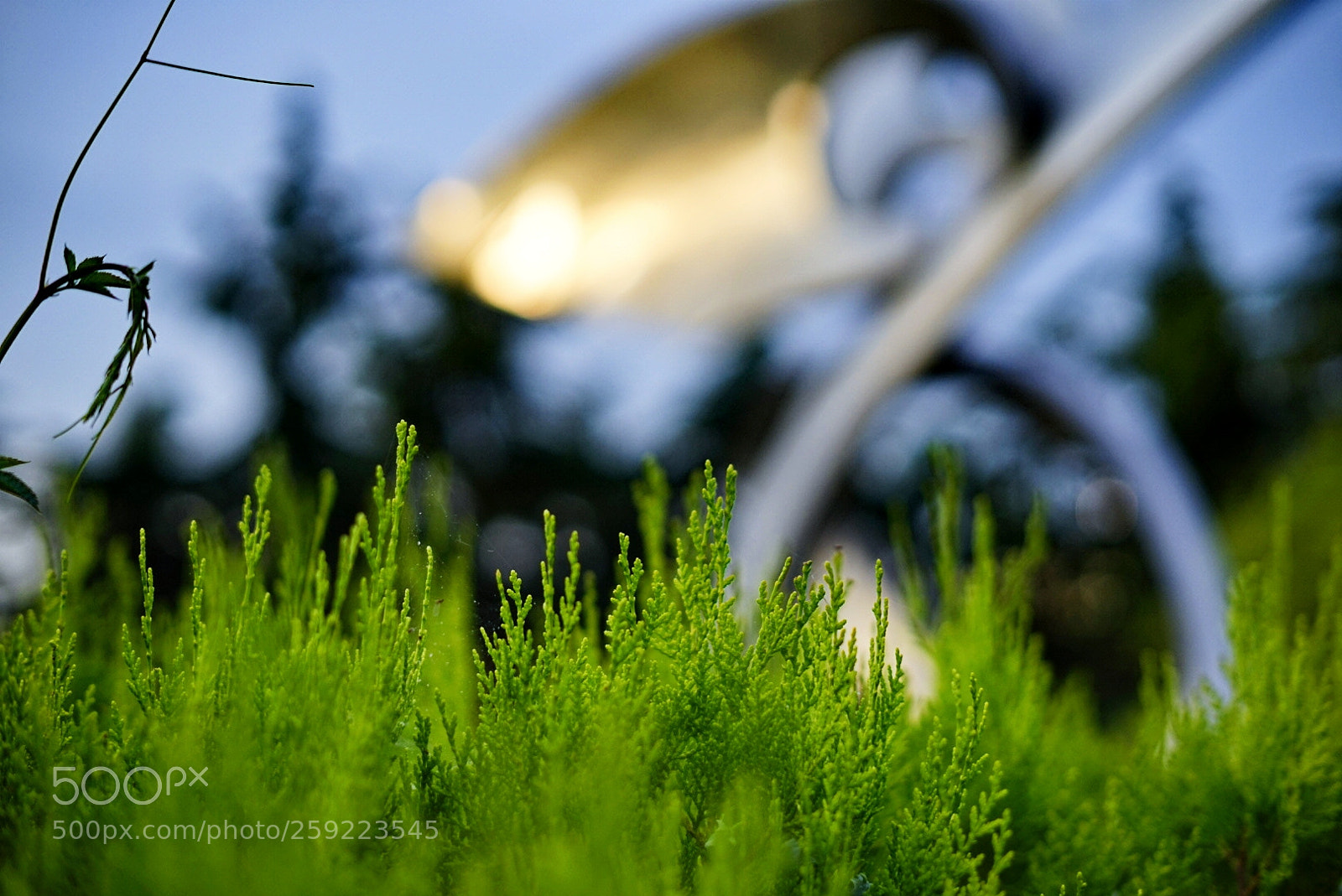 Sony a7 sample photo. Untitled photography