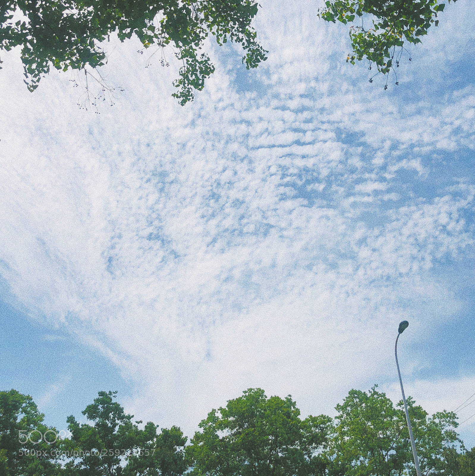 Apple iPhone 8 Plus sample photo. 天空之城 photography