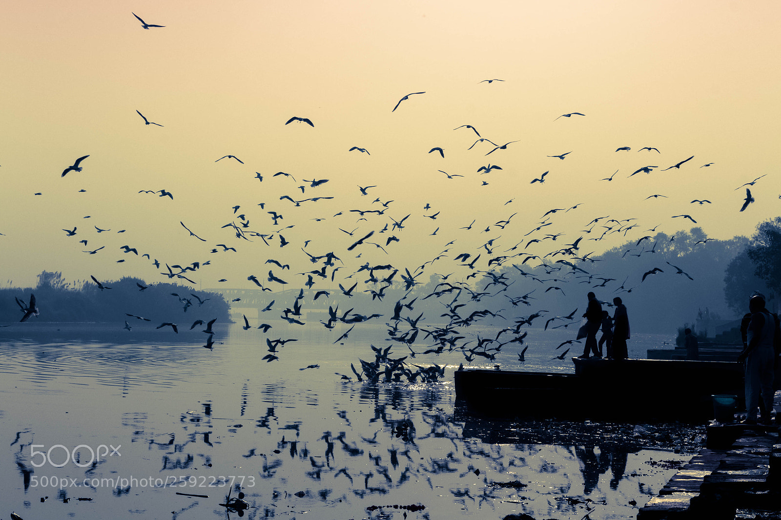 Canon EOS 700D (EOS Rebel T5i / EOS Kiss X7i) sample photo. Yamuna ghat, delhi photography
