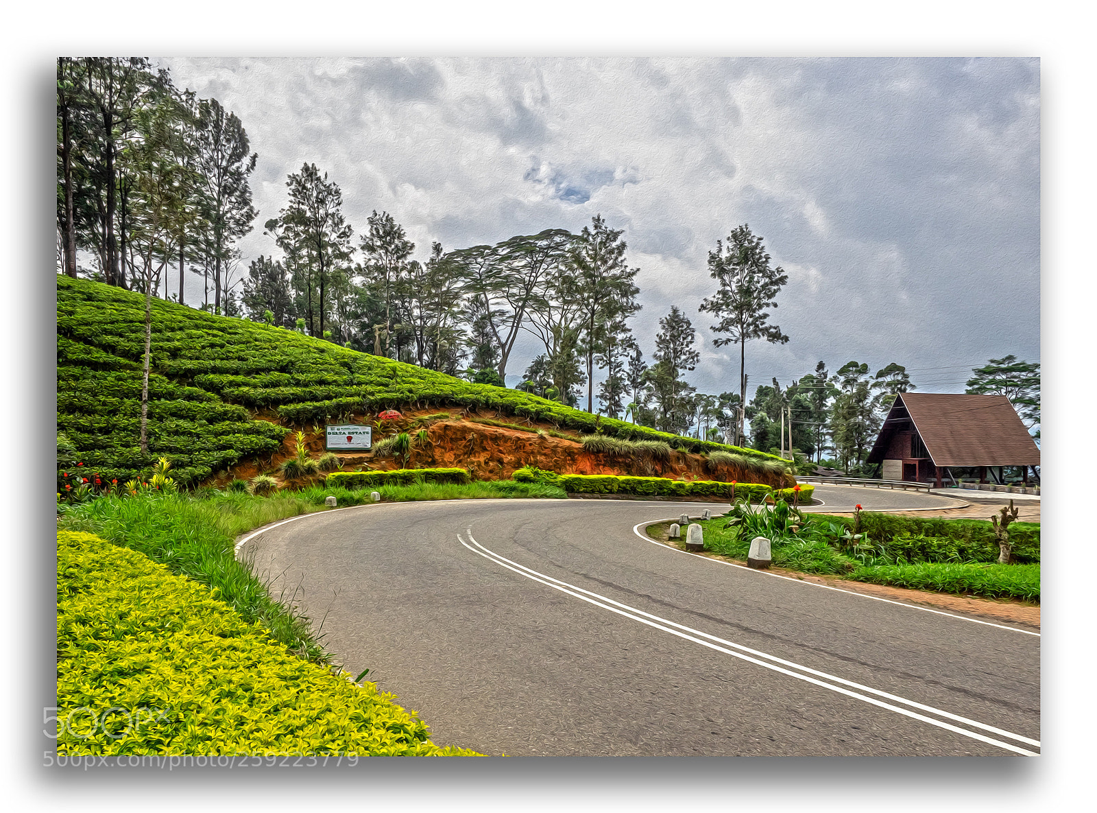 Olympus OM-D E-M1 sample photo. Kandy sirlanka photography