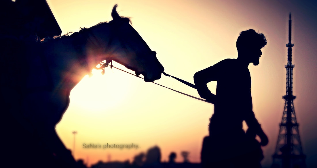 Canon EOS 650D (EOS Rebel T4i / EOS Kiss X6i) sample photo. Marina horse ride... photography
