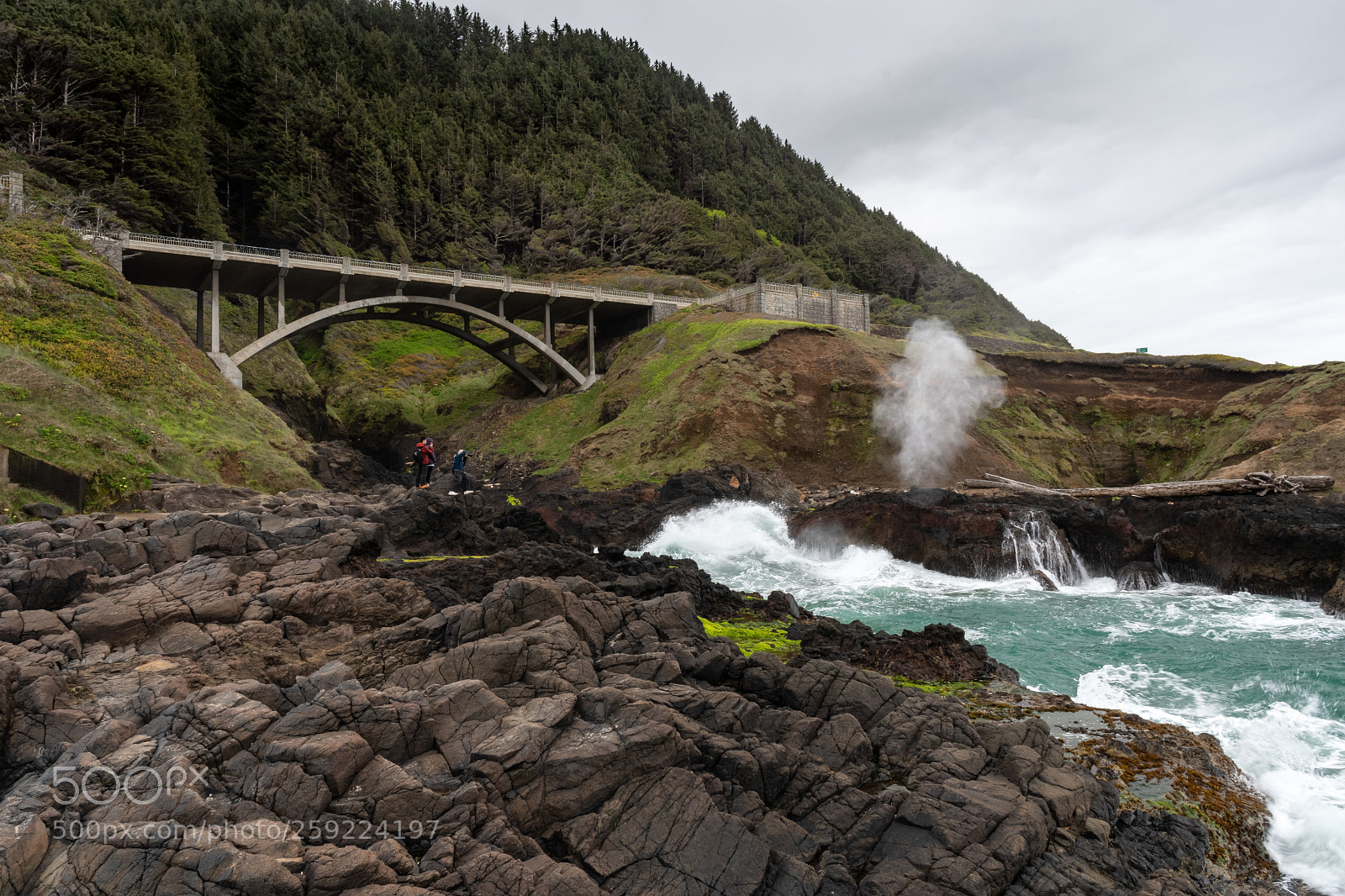 Nikon D500 sample photo. Cook's chasm, cape perpetua photography