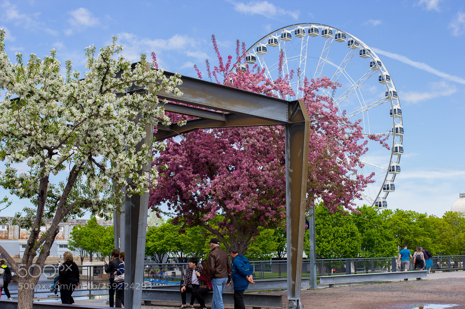 Canon EOS 60D sample photo. Spring in the old photography