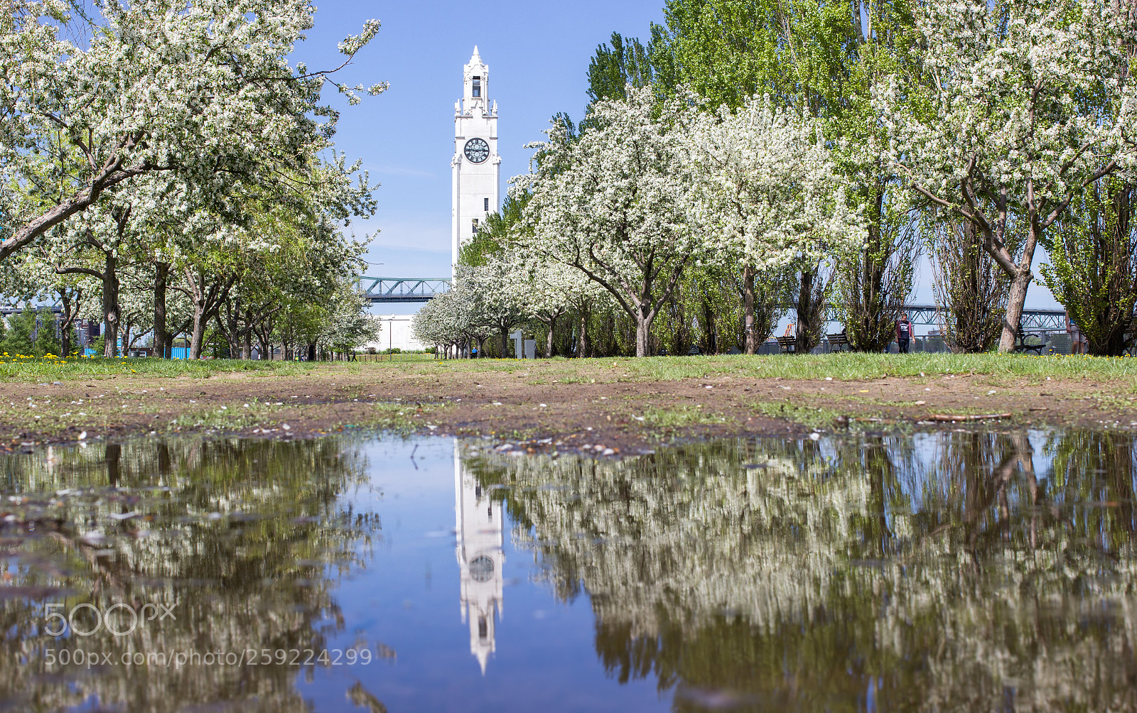 Canon EOS 60D sample photo. Tower of montreal photography
