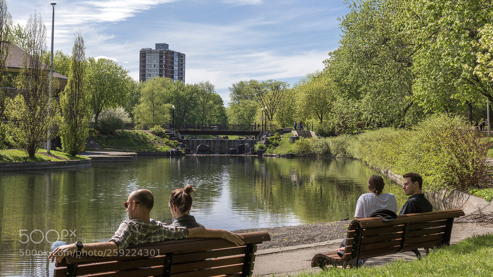 Canon EOS 60D sample photo. Sunny day in the photography
