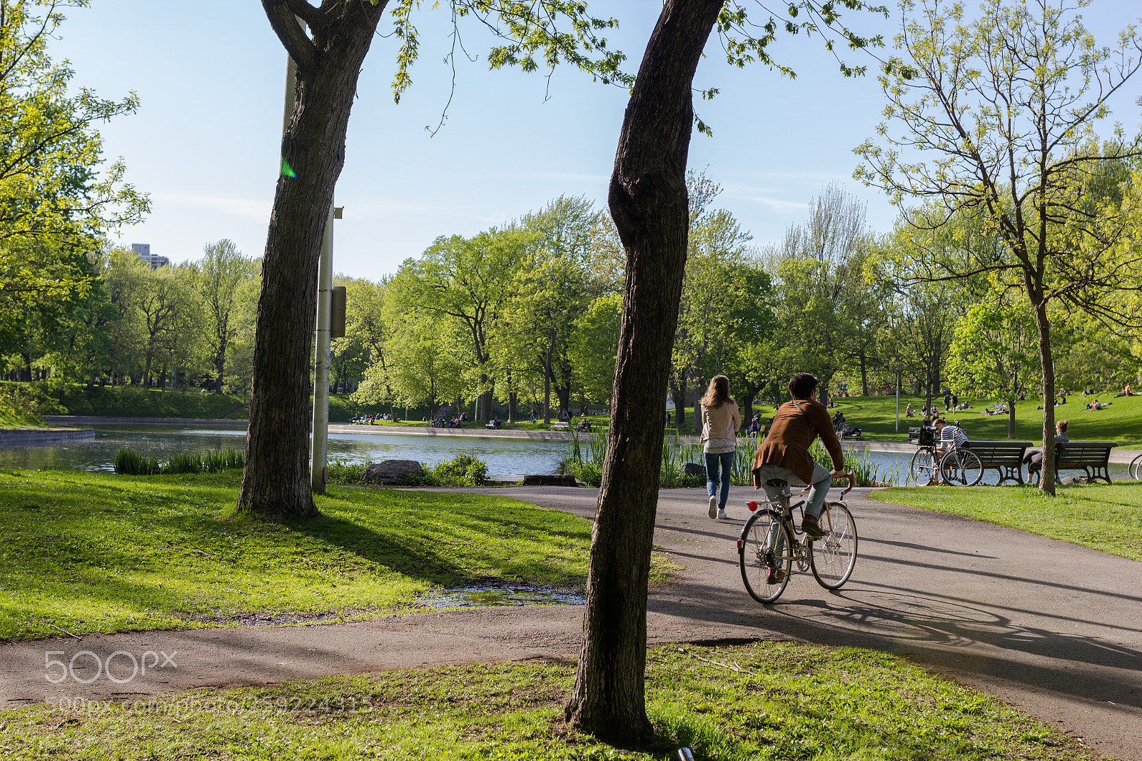 Canon EOS 60D sample photo. Cycling in the park photography