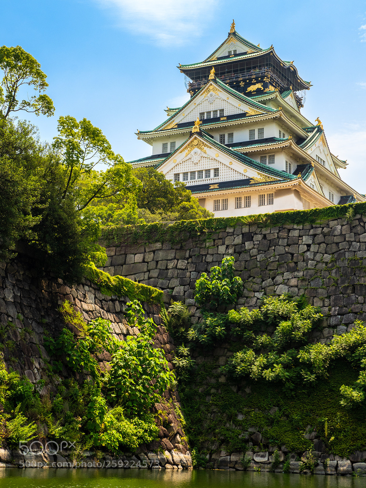 Olympus OM-D E-M1 Mark II sample photo. Osakajo, osaka 大阪城 photography