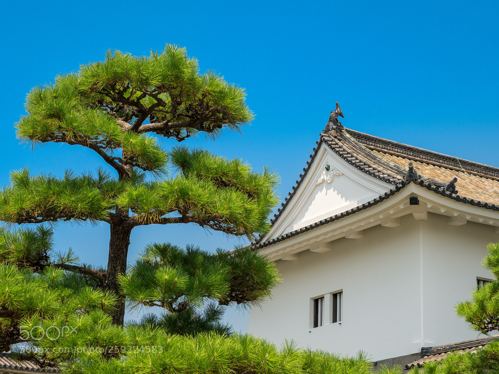 Olympus OM-D E-M1 Mark II sample photo. Osakajo, osaka 大阪城 photography