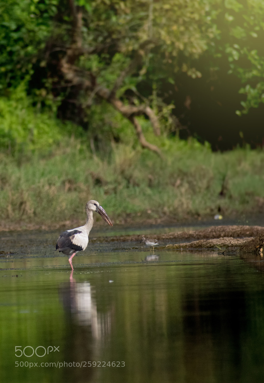 Nikon D5300 sample photo. Morning yoga photography