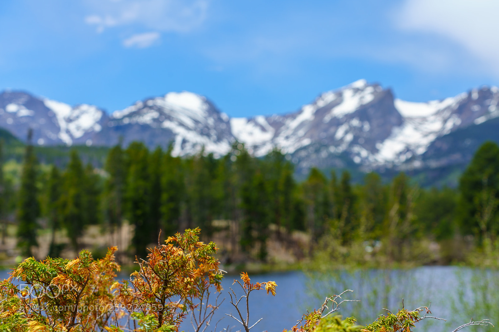 Sony a7R II sample photo. Rocky mtn photography