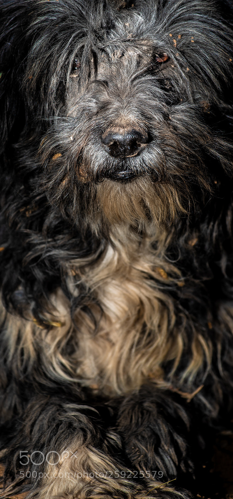 Nikon D750 sample photo. Quil_terri photography