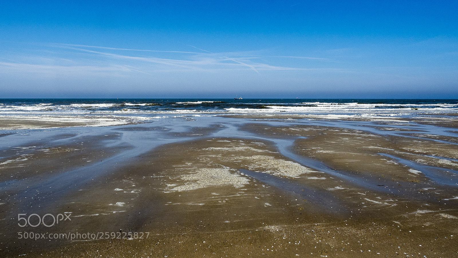Olympus OM-D E-M5 II sample photo. The beach photography