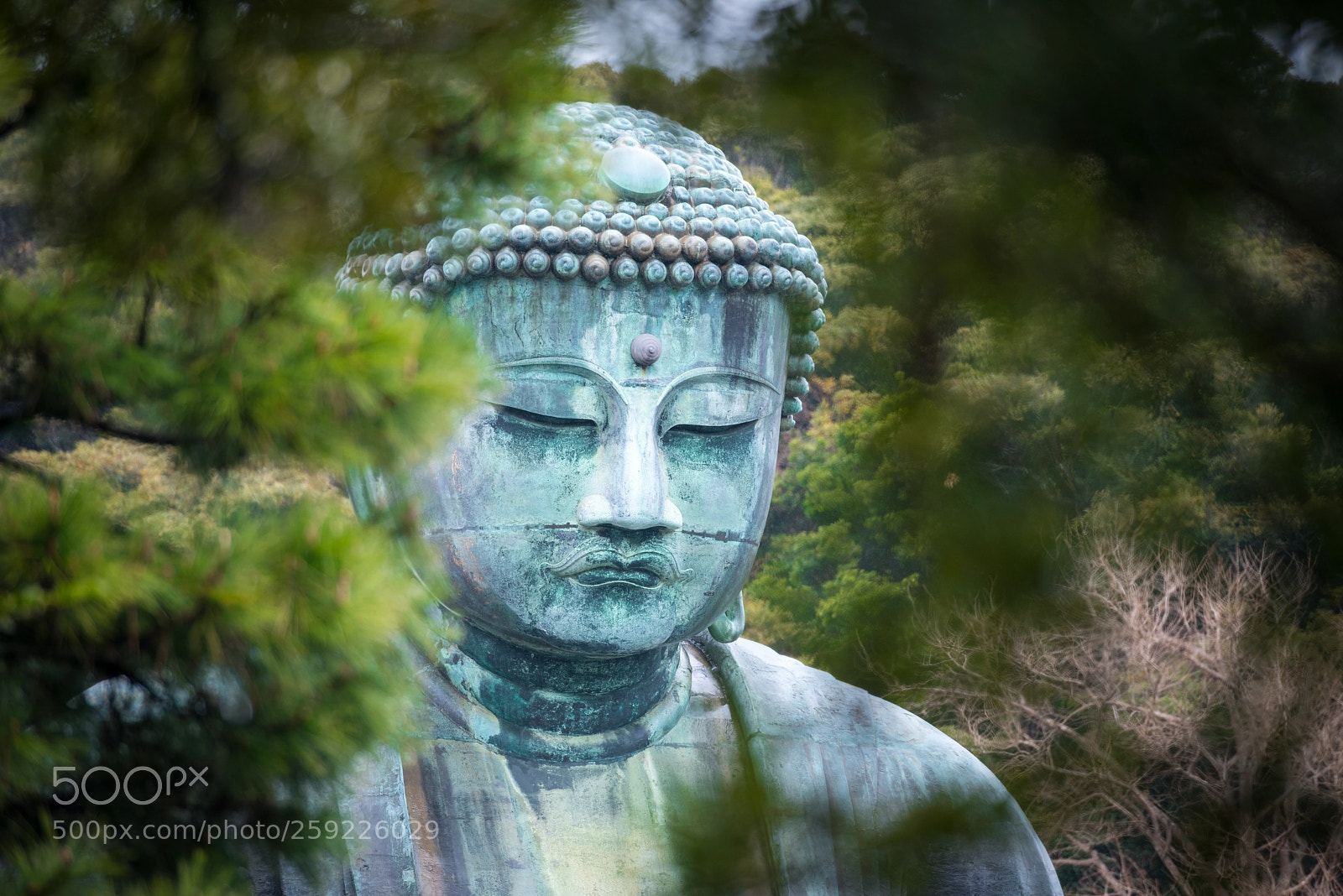 Nikon D800 sample photo. Meditate. photography