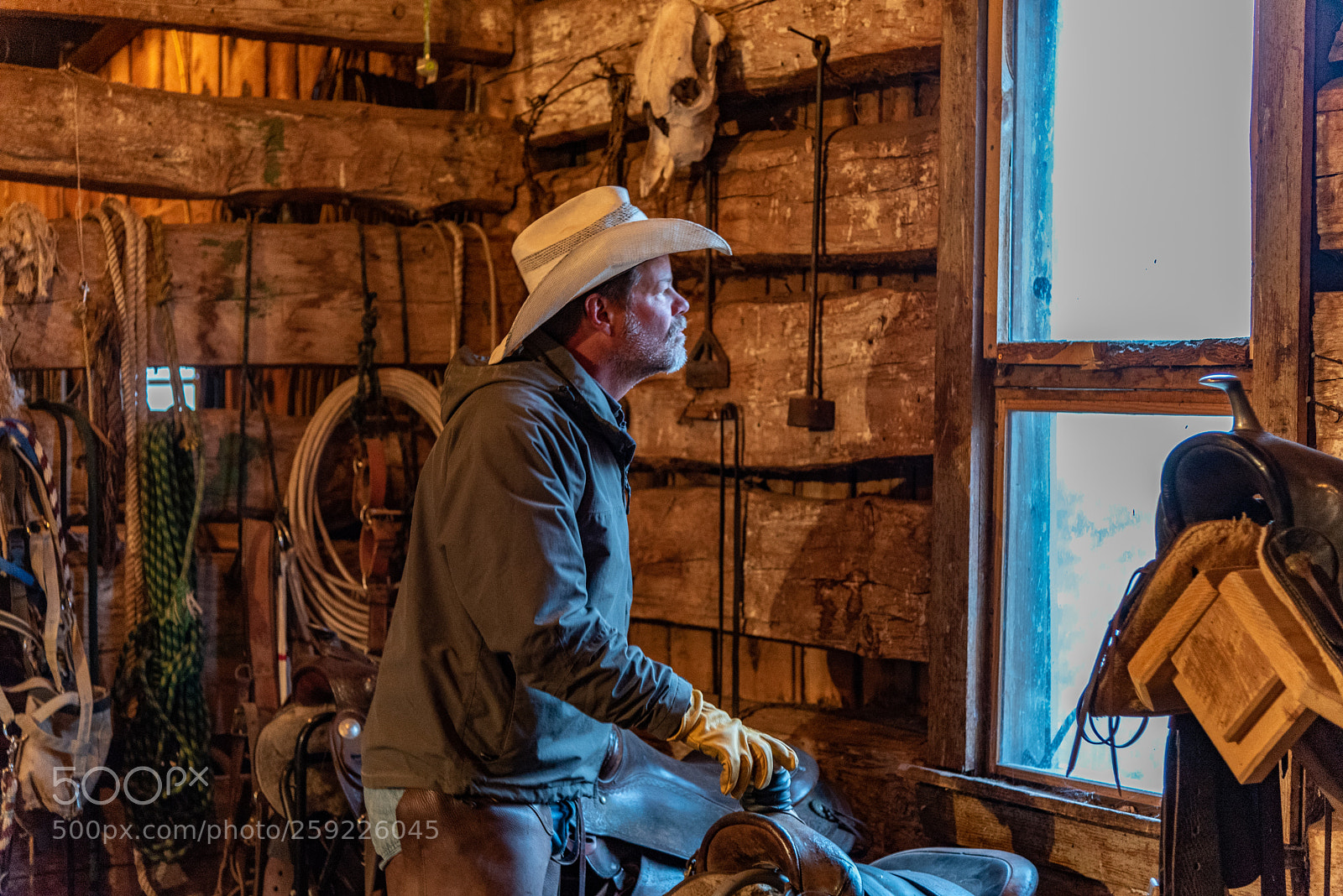 Nikon D750 sample photo. Gazing at dawn window photography