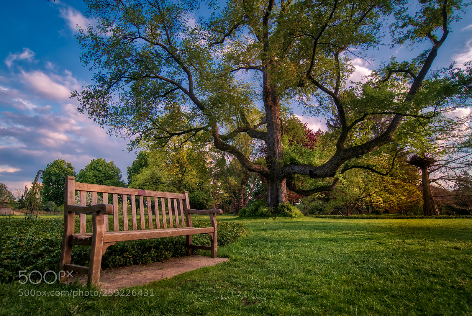 Sony a7S sample photo. The bench photography